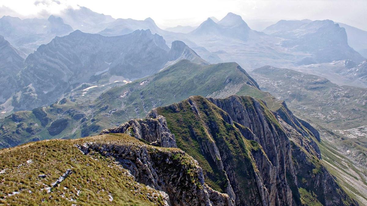 Illustration zu Beiersdorf Gewinnwarnung