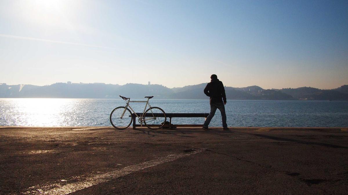 Symbolbild zum Thema The Bear Serie Ende