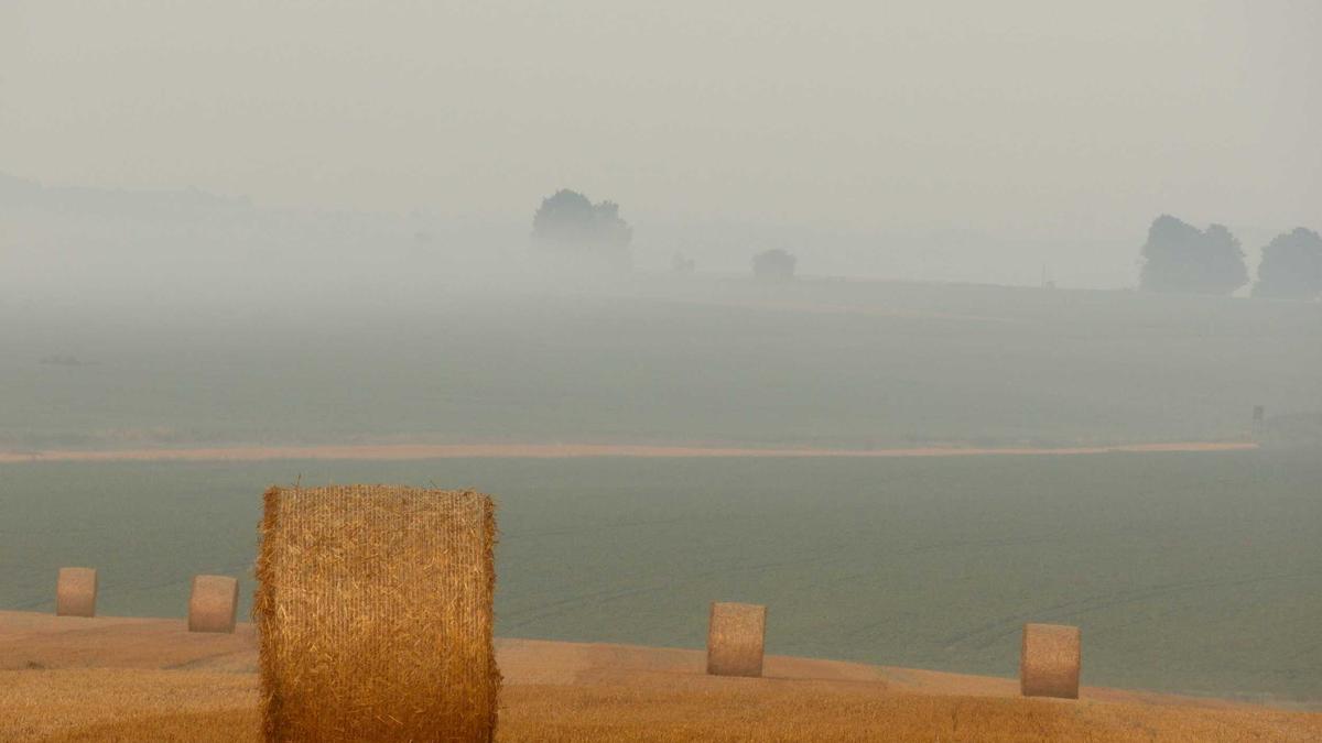 Symbolbild zum Thema Aktenzeichen XY