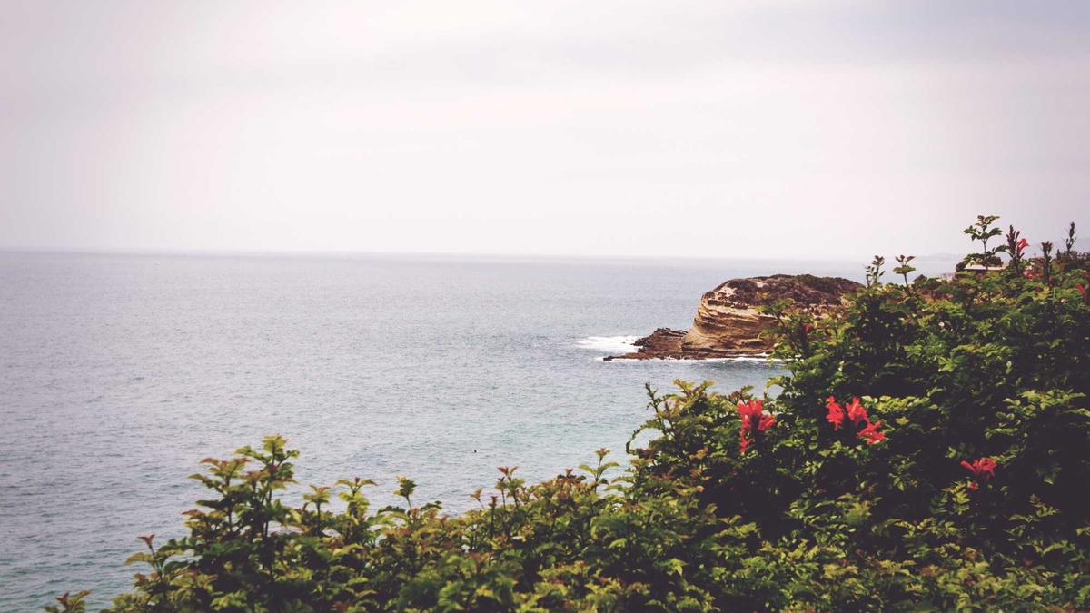 Illustration zu Andreas Mitter