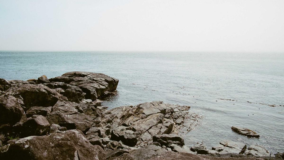 Symbolbild zum Thema Arvid Lindblad