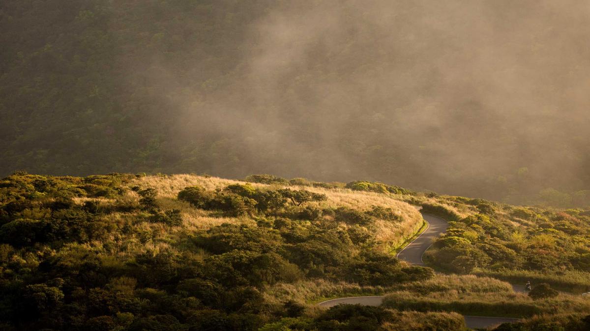Symbolbild zum Thema Axel Schulz Wurst