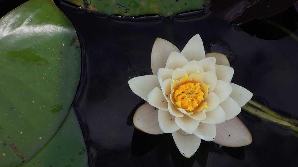 Symbolbild zum Thema Bares Rares