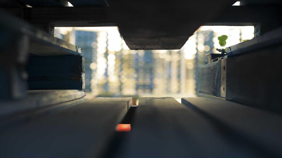 Bayern Spielerberater Detailansicht: Bayern Spielerberater