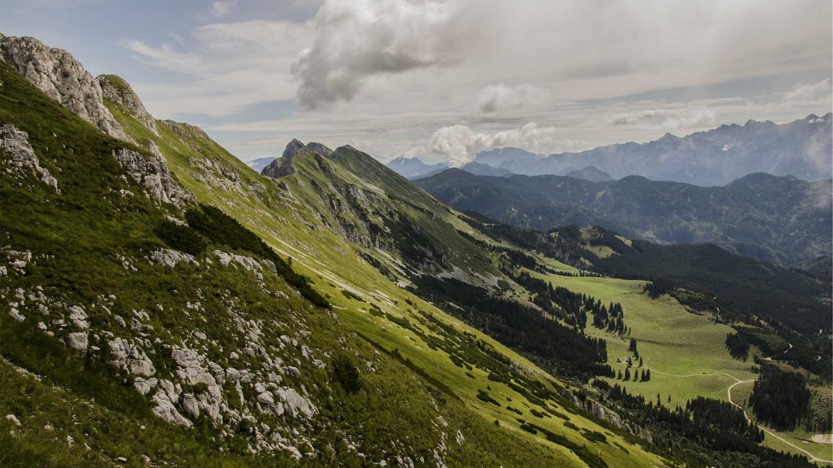 Detailansicht: Blau-weiss Linz - Ried