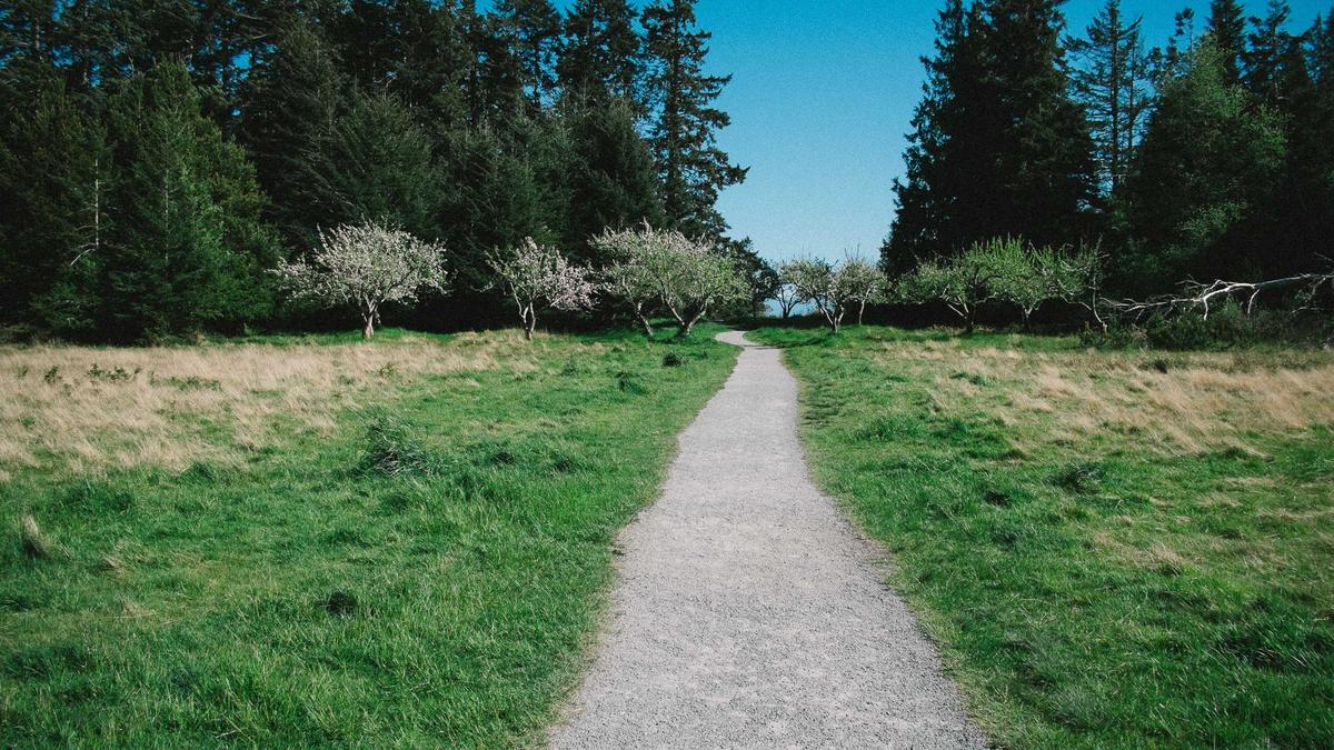 Detailansicht: Brennender Imbisswagen