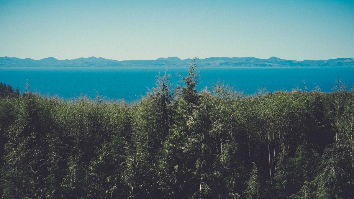 Illustration zu Butter Board Höhle Der Löwen