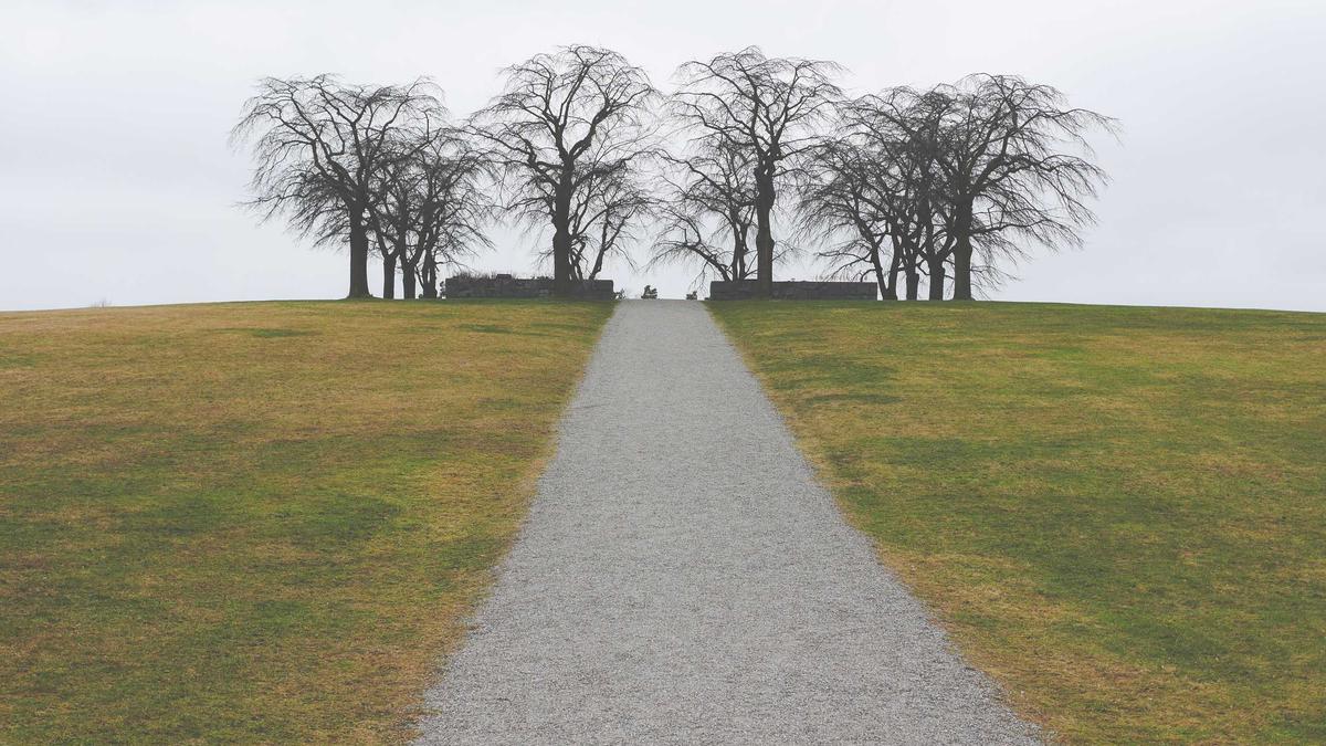 Detailansicht: Chelsea – PSG