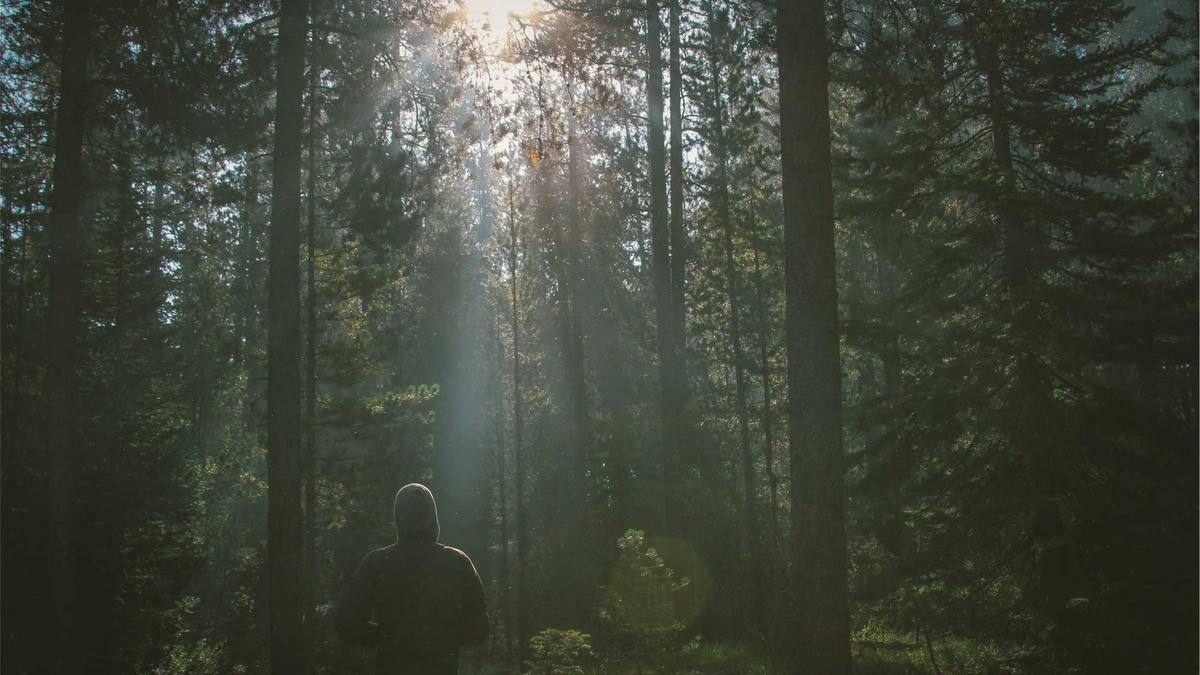 Symbolbild zum Thema Christopher Seiler Musiker