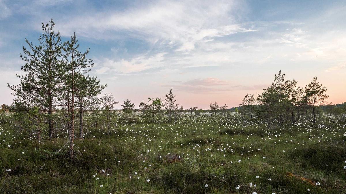 Symbolbild zum Thema CL Heute