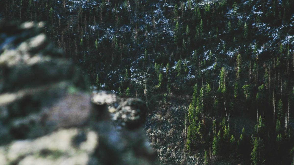 Detailansicht: Clint Eastwood Western