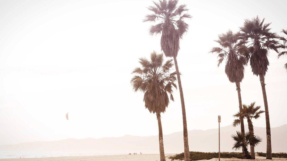 Collien Fernandes Mallorca Symbolbild zum Thema Collien Fernandes Mallorca