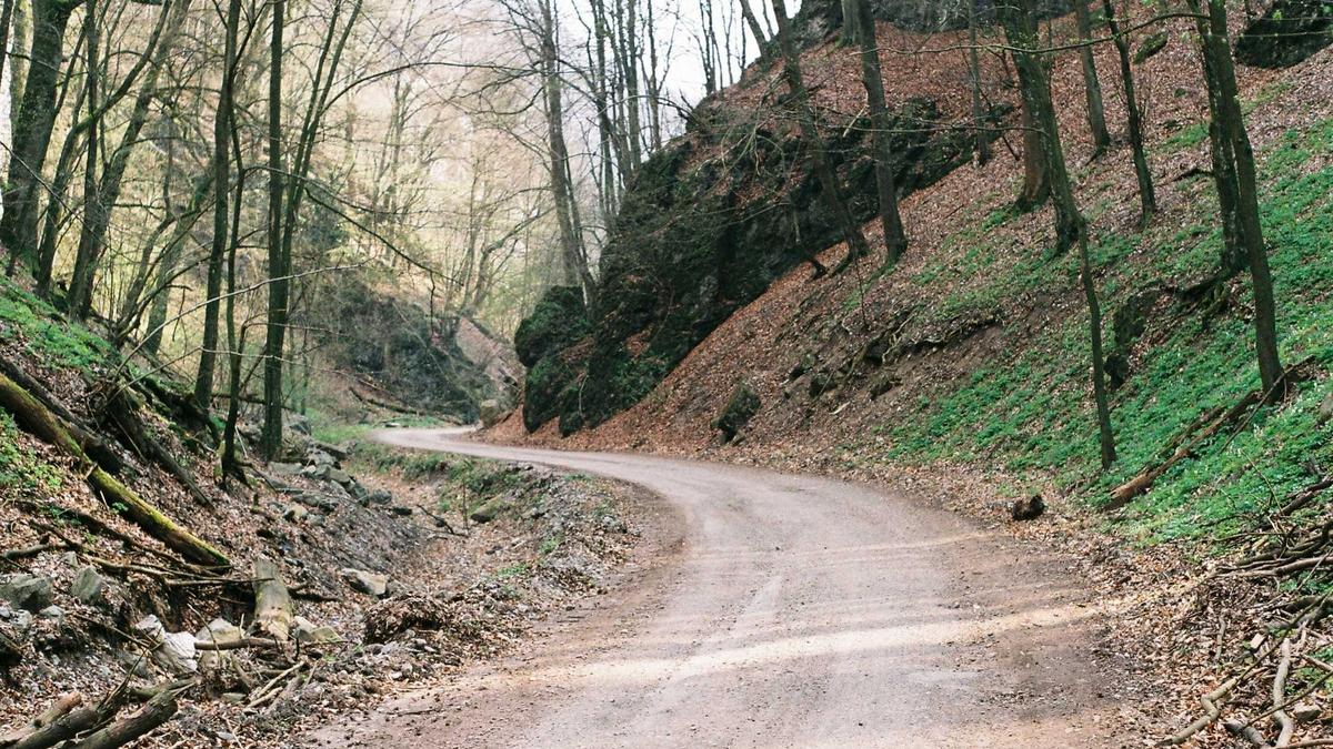 Symbolbild zum Thema CSK VS RR