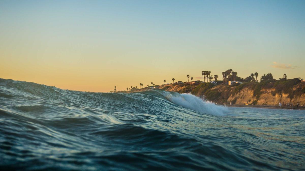 Illustration zu Dachs Unfall Auto