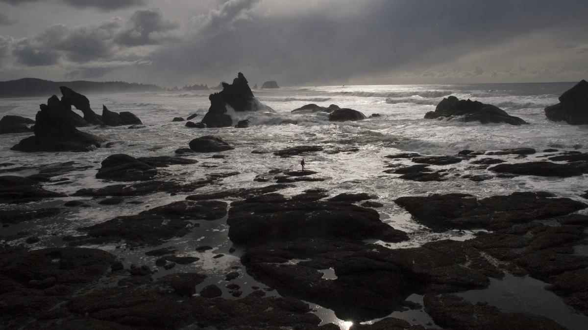 Dagi Bee Liont Trennung Detailansicht: Dagi Bee Liont Trennung