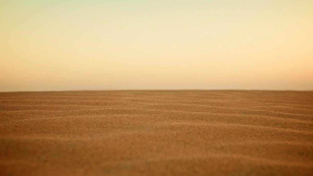 Illustration zu Dan Ndoye