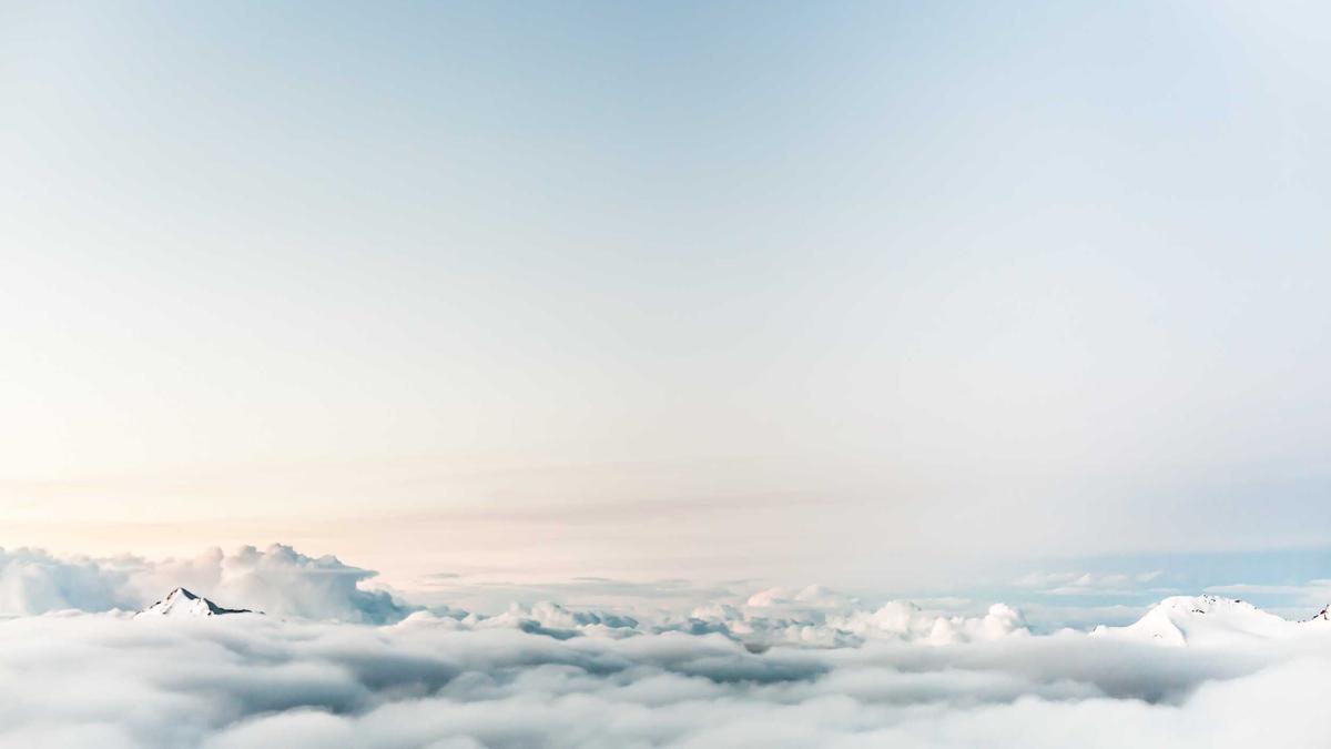 Detailansicht: Daniel Kreutzer