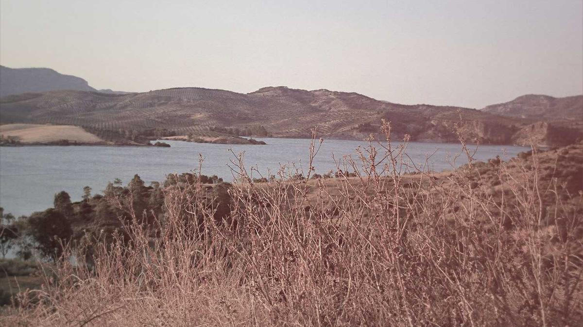 Detailansicht: Deutsche Exporte