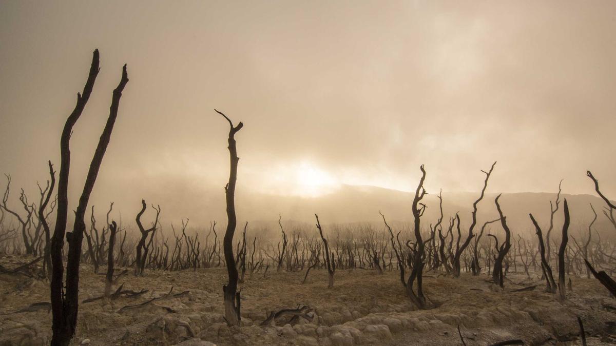 Detailansicht: Dilara Kruse Ohnmacht