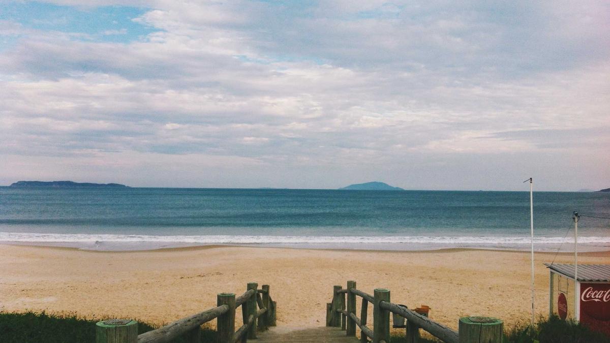 Illustration zu Dynamo Dresden Krise