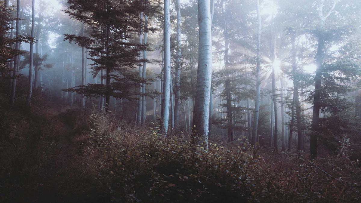 Illustration zu Einzug April