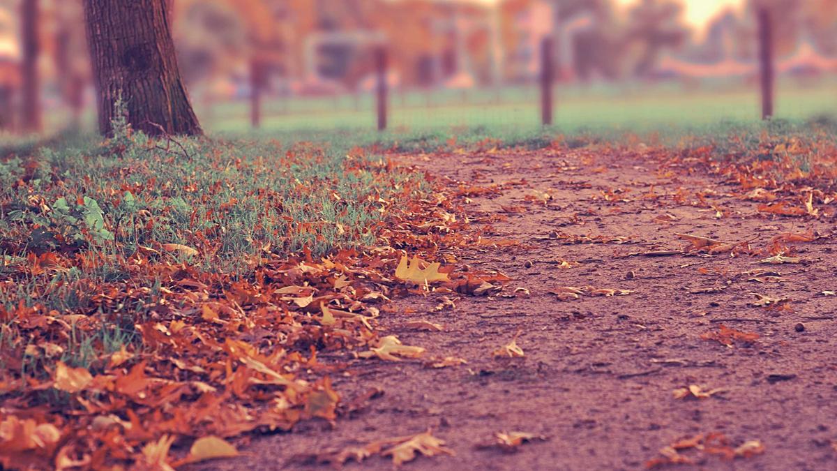 Illustration zu EU Industriepolitik