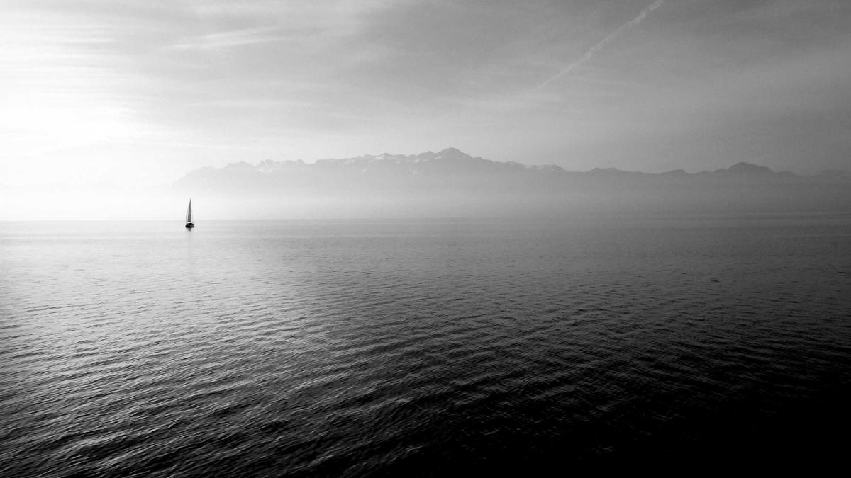 Eva Pölzl Detailansicht: Eva Pölzl