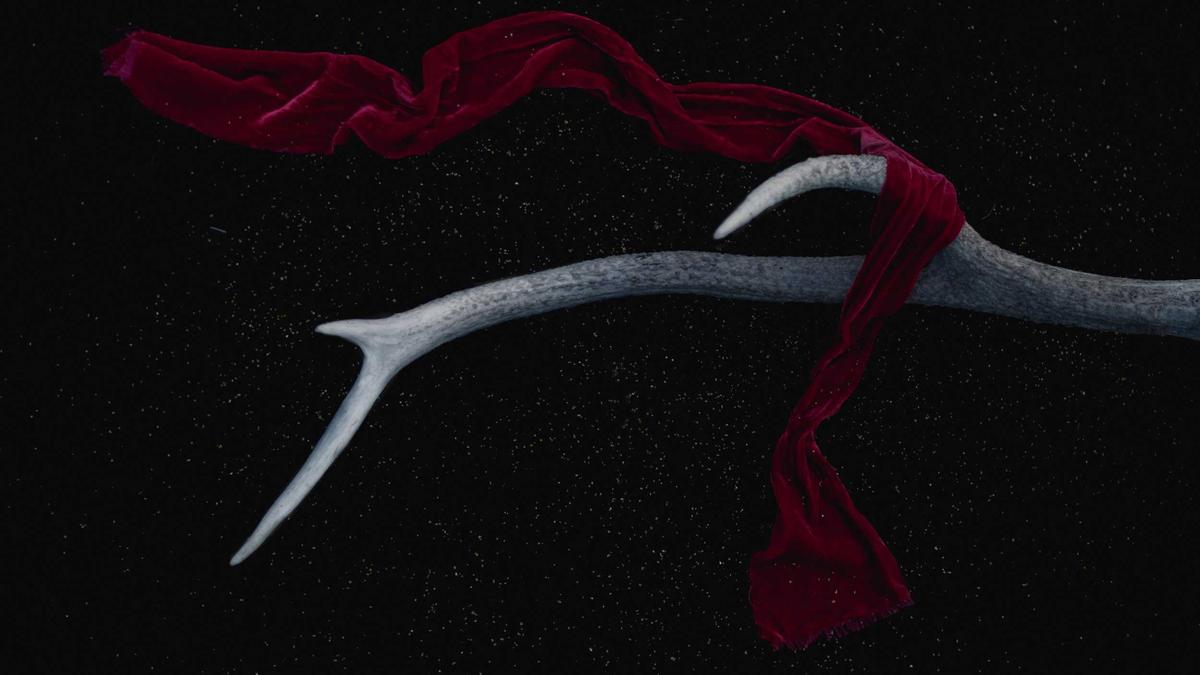 Detailansicht: Evelyn Burdecki Grill Den Henssler