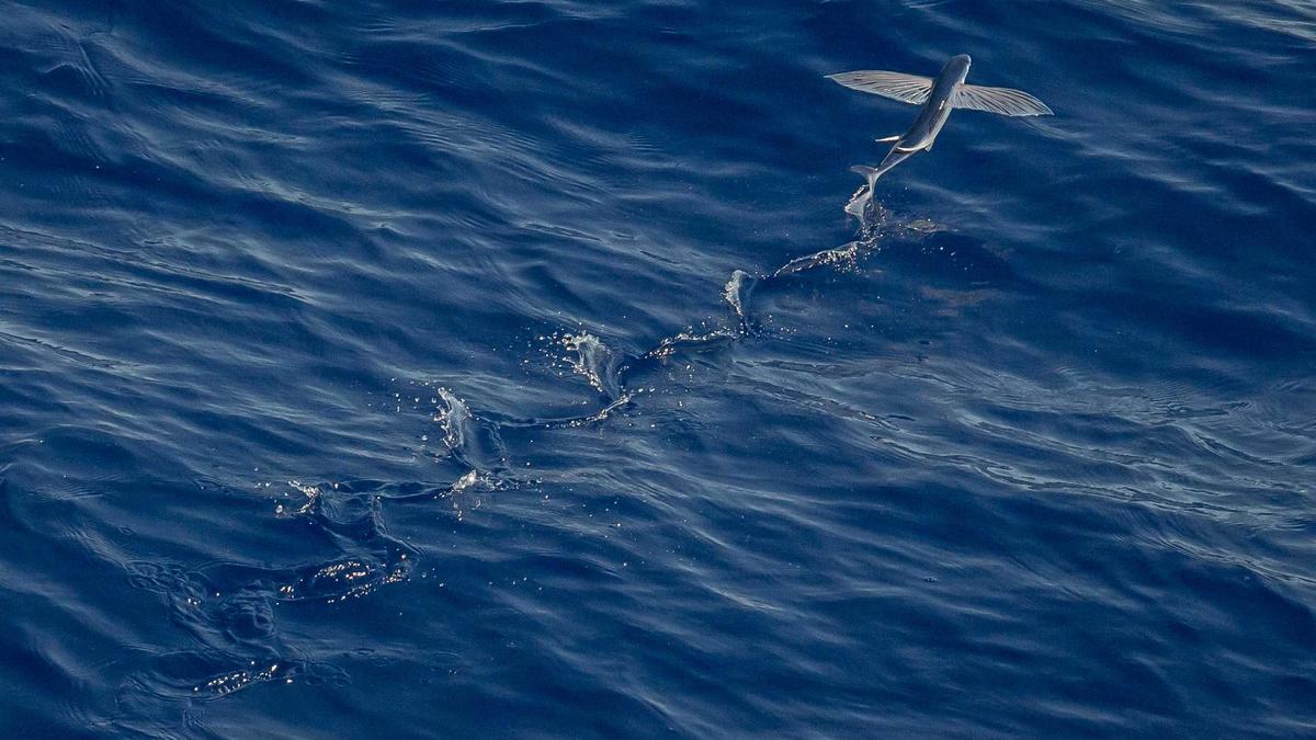 Illustration zu Flughafen Zürich