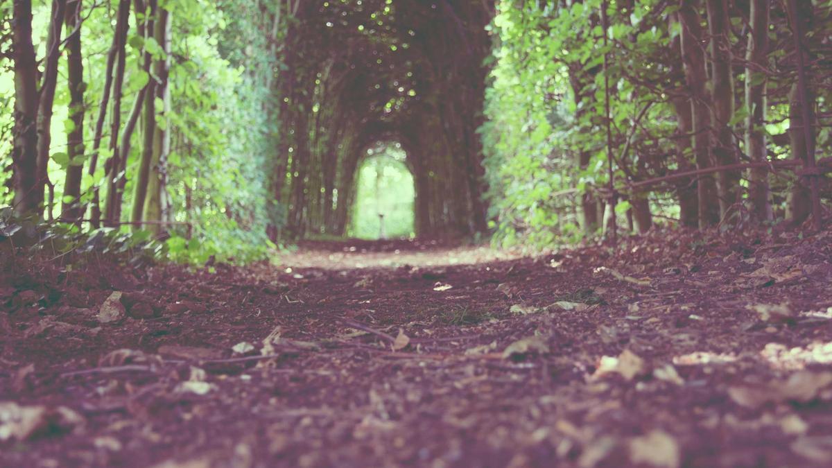 Illustration zu Frauendemo Graz