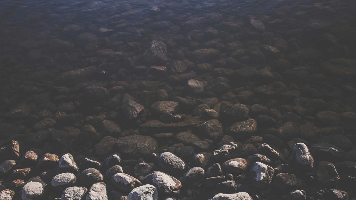 Friedrich Merz Detailansicht: Friedrich Merz