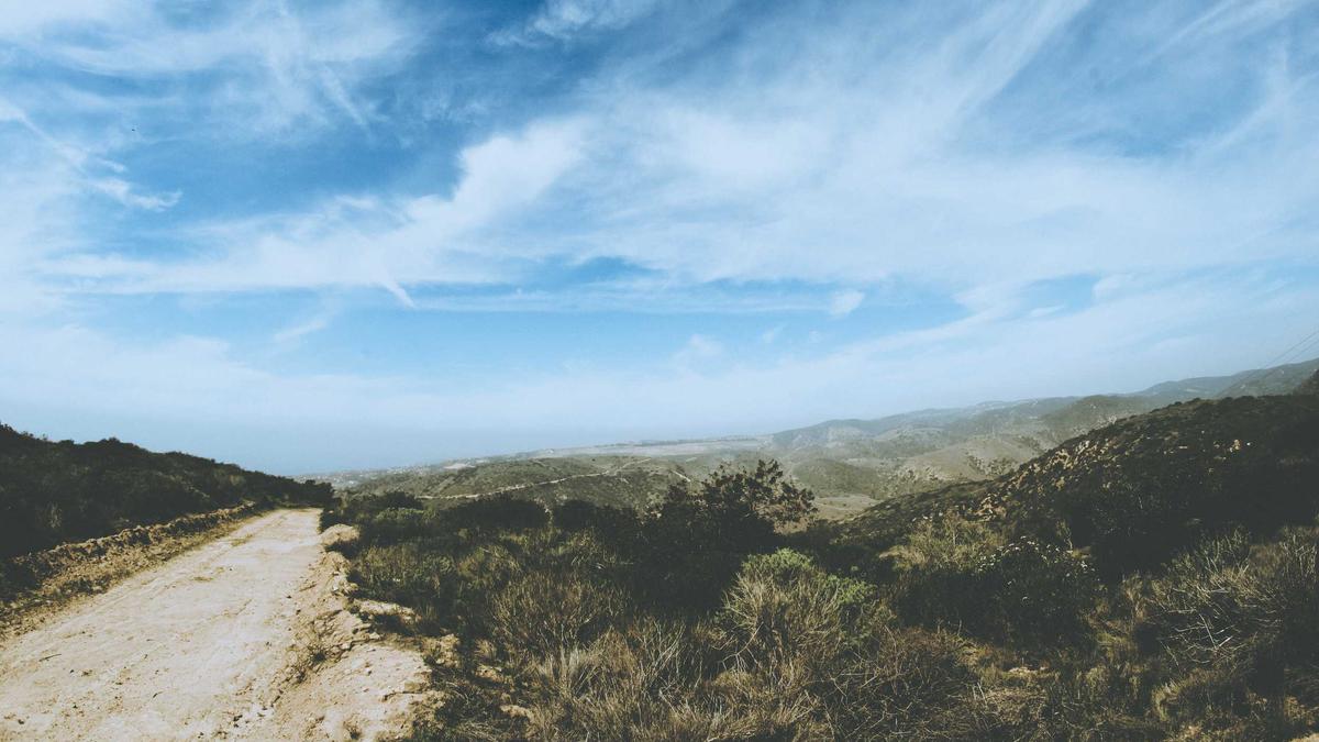Detailansicht: Gewinnwarnung Unternehmen