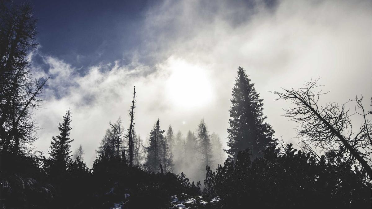 Detailansicht: Große Promibacken
