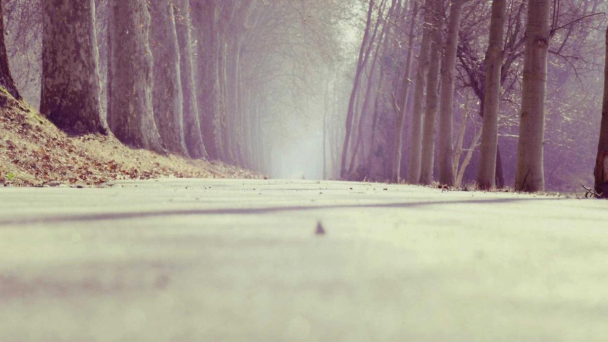 Detailansicht: Grüne München