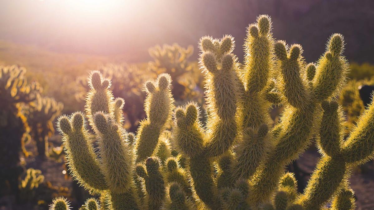 Detailansicht: GZSZ Raul Richter