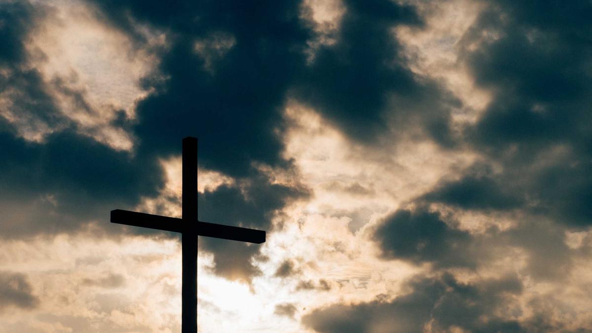 Illustration zu Harvey Weinstein Interview