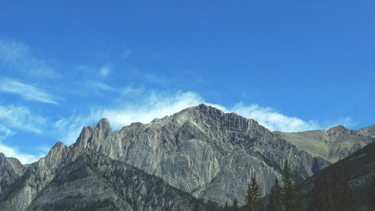 Detailansicht: Hebel Brüder Buch
