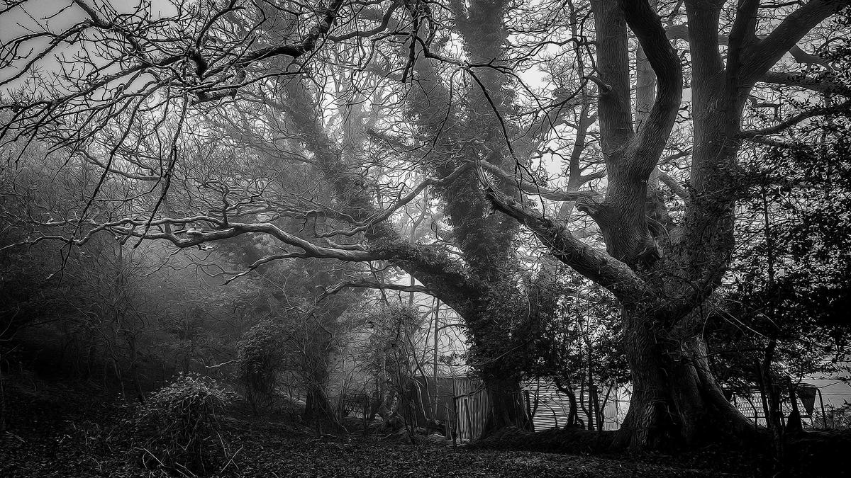 Illustration zu Hendrik Wüst Mutter