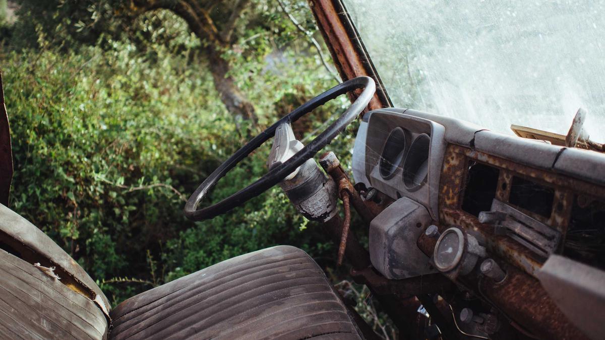 Hortensien Kaffeesatz Detailansicht: Hortensien Kaffeesatz