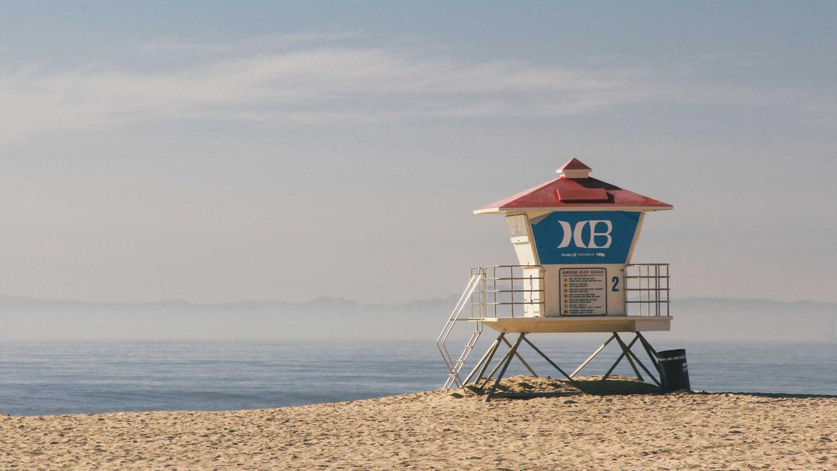 Hund überfahren Fahrerflucht Symbolbild zum Thema Hund überfahren Fahrerflucht