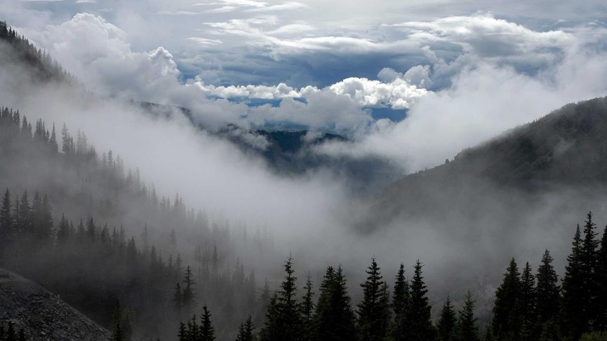 Illustration zu In Aller Freundschaft