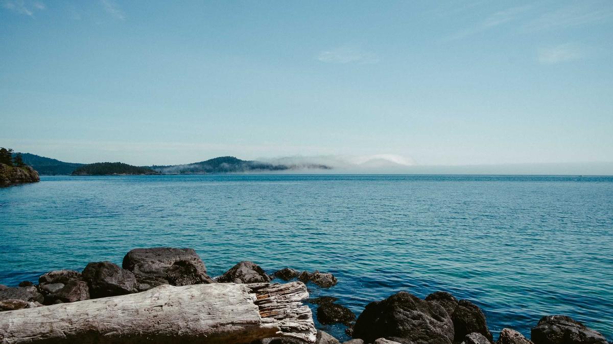 Illustration zu Influencerin Lisa Straube