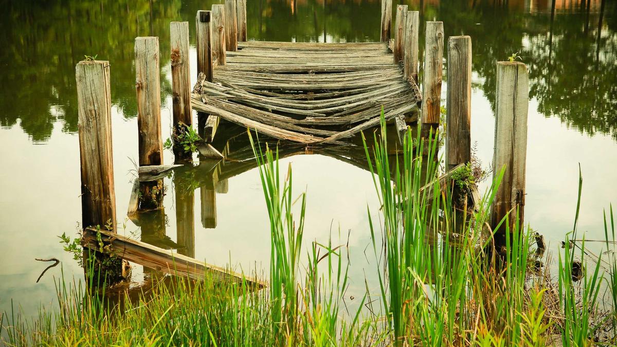 Detailansicht: International Womens Day