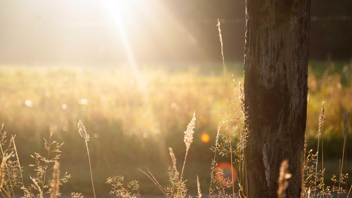 Detailansicht: Iran Krieg Spritpreise