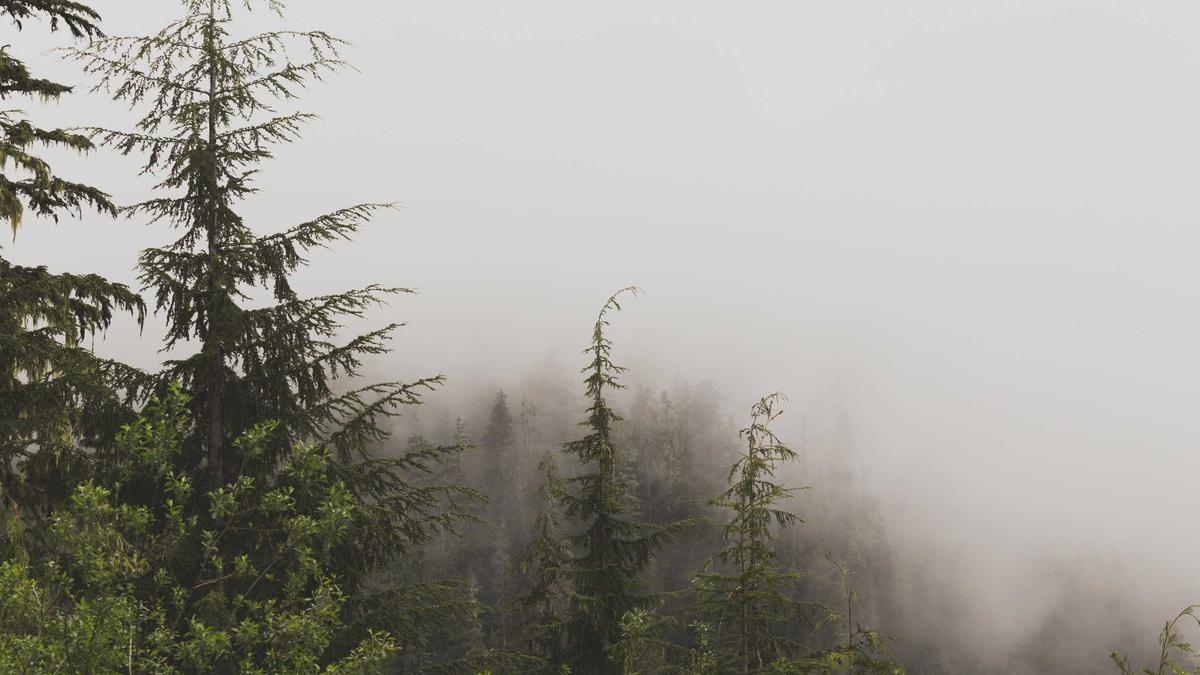 Symbolbild zum Thema Jessi Pierce Tot