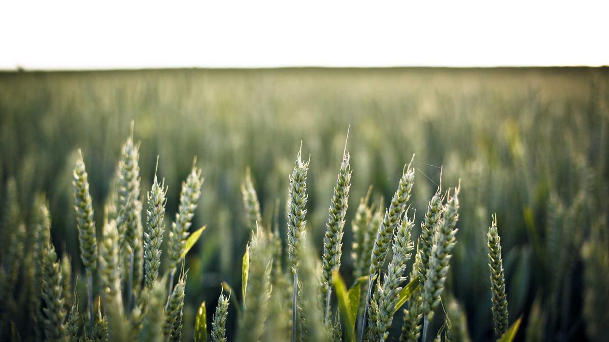 Detailansicht: Lets Dance Styling