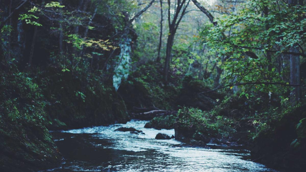 Leverkusen Champions League Illustration zu Leverkusen Champions League