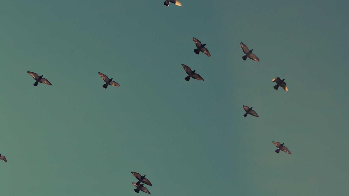 Illustration zu Lottozahlen 07.03 26