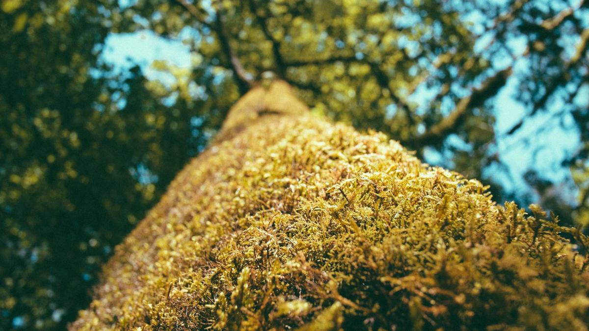 Detailansicht: Lottozahlen Mittwoch Ziehung