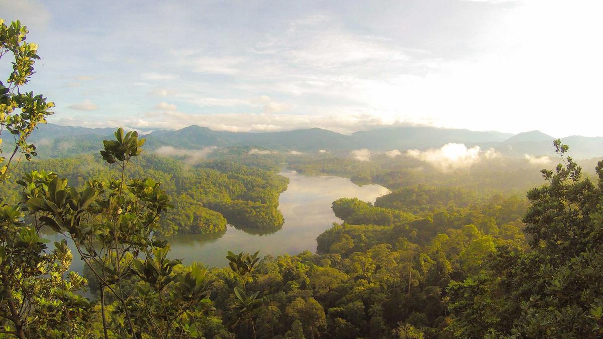 Symbolbild zum Thema Mansfield-arsenal